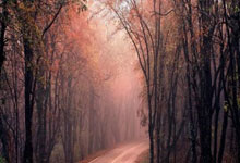 WELLBET官网：速滑世界杯波兰站：中国队再获一银一铜.