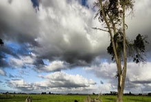 WELLBET官网：印尼超球员：印尼国家队表现相当不错，希望他们能晋级世界杯.