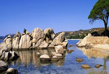 WELLBET官网：意媒：为了重点开拓美国市场，国米计划引进多名美国球员.